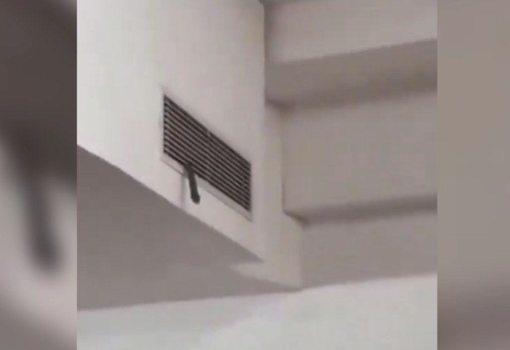 Snake enters classroom through AC vent sparking panic at northern India university