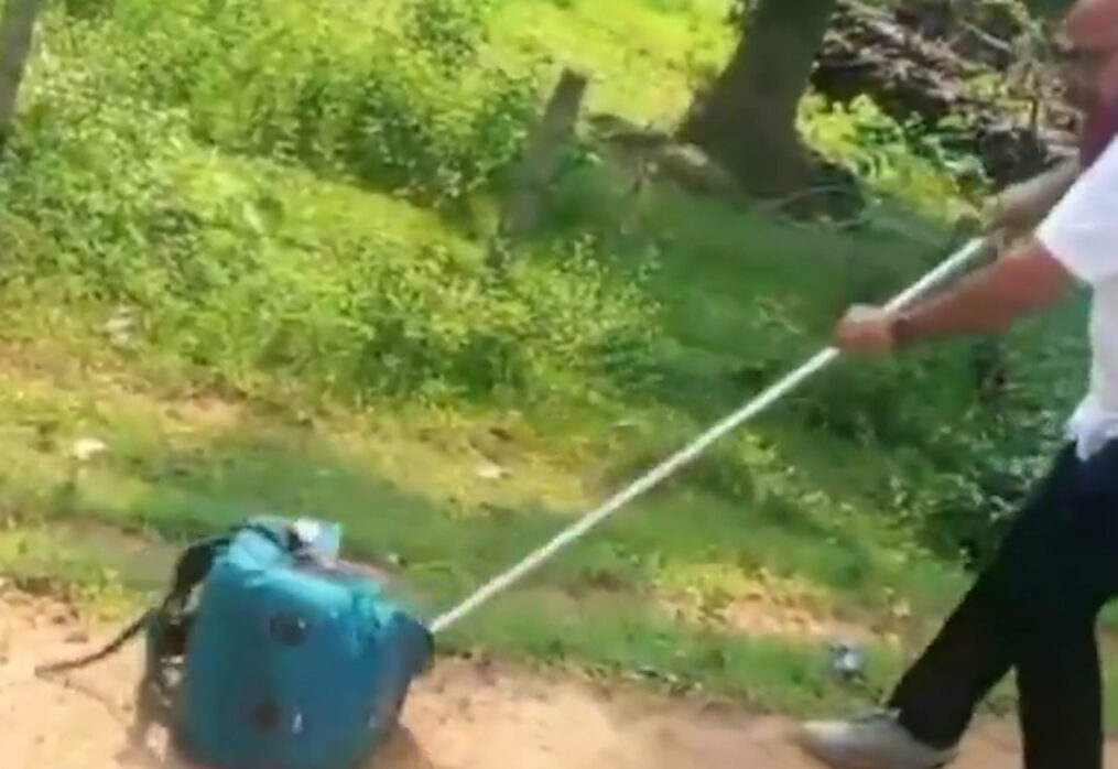 Snake found inside 5th grader’s school bag in central India, causes panic at school