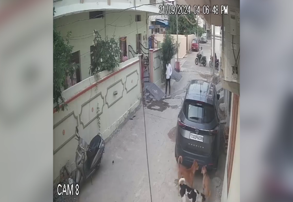 Stray dogs attack mother-child duo in southern India: CCTV footage captures terrifying incident