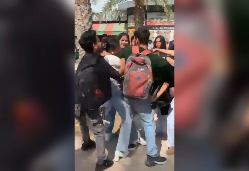 Dramatic fight erupts between female students on university campus